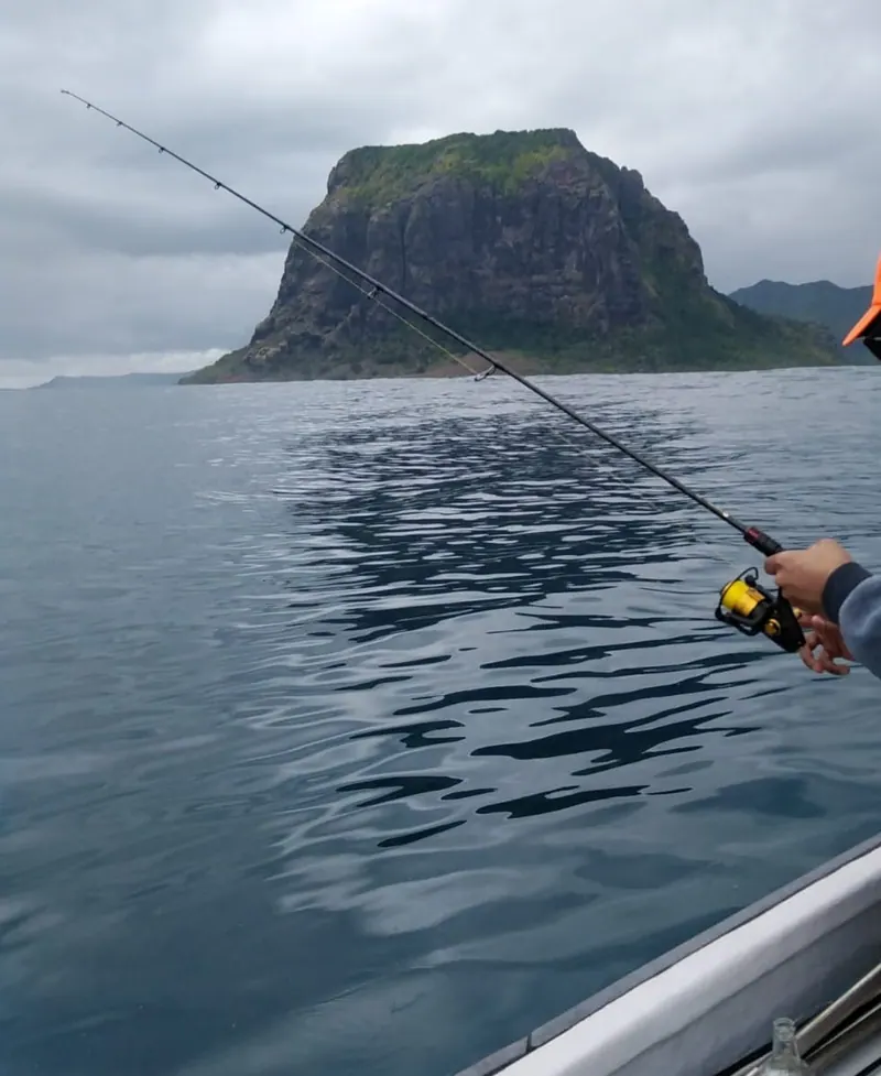 Une canne à pêche tendue au-dessus de l’eau calme, Le Morne en face